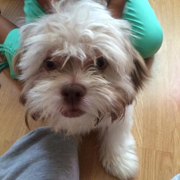 Meet your Posher, Briana - Picture 1 of 1